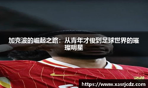 B体育官网