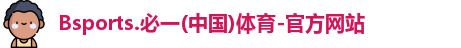 B体育官网